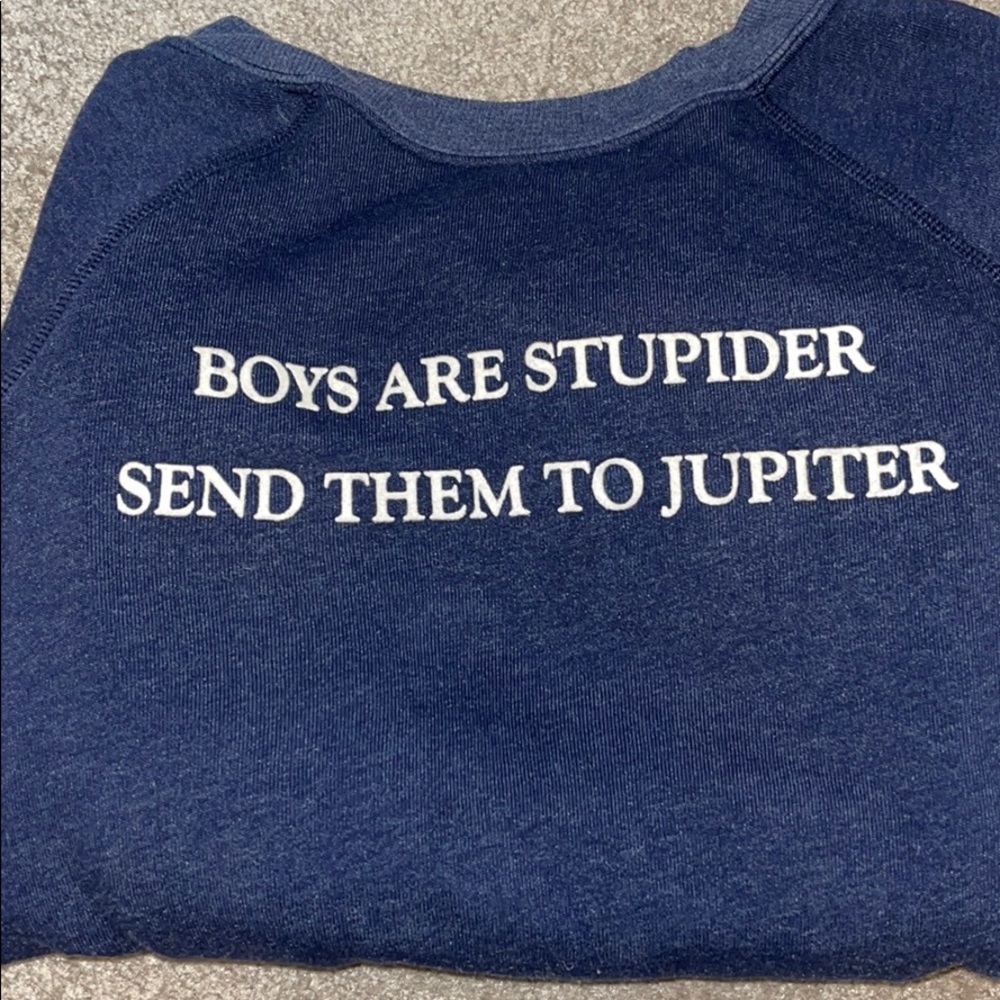 Wildfox Jupiter Sommers Sweater